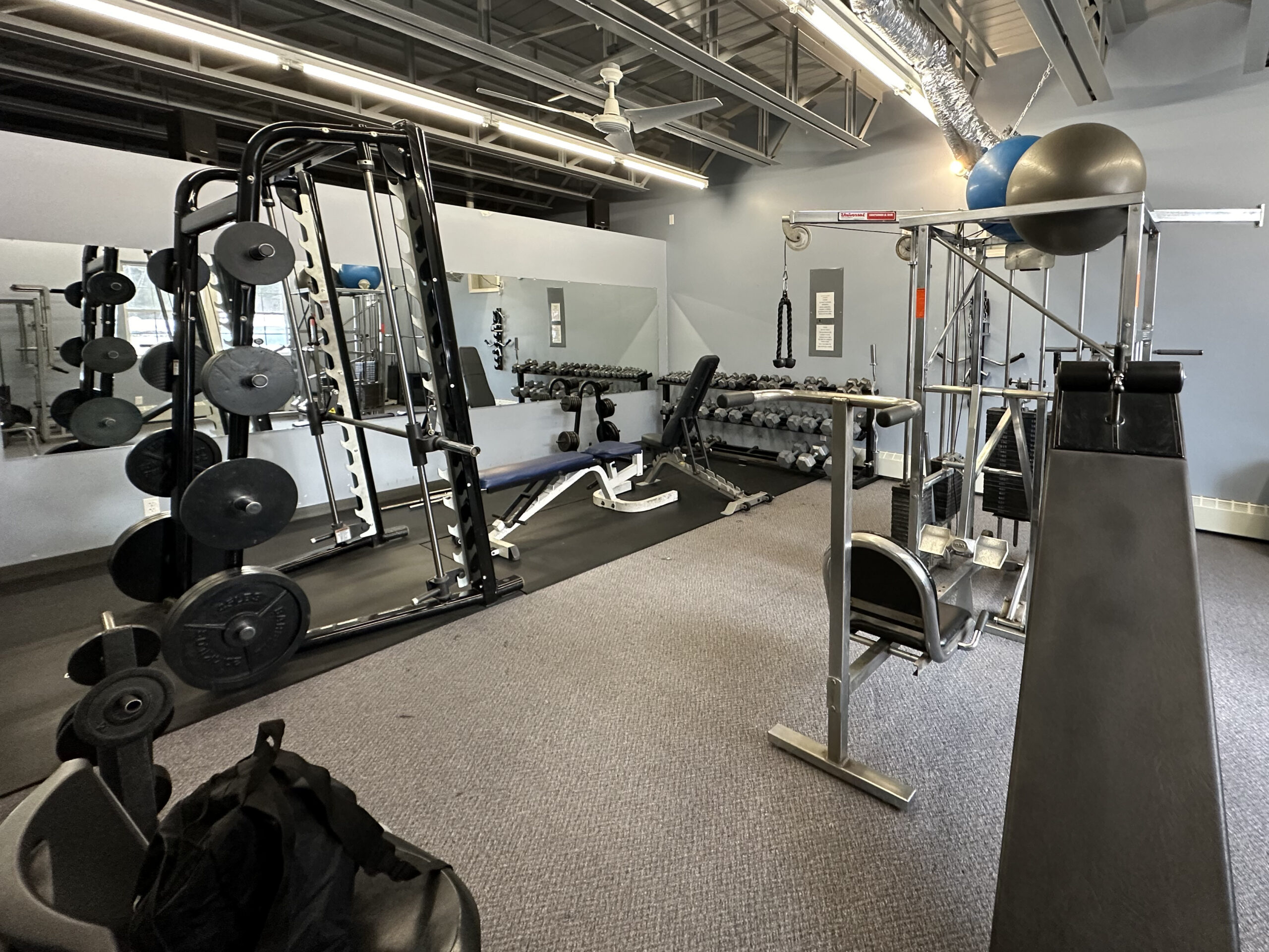 FREE WEIGHTS FREE WEIGHTS